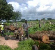 Mbour : Un corps sans vie retrouvé dans les buissons.