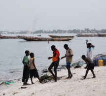 Drame : 03 Talibés meurent noyés dans une mare