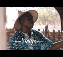 Djiby Dramé - Yiriyo (Clip Officiel)