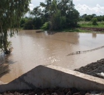 Conséquence des fortes pluies: un garçon de 12 ans meurt par noyade à Kaffrine