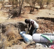 Kaolack : Les éléments des eaux et forêts ont saisi 3 sacs de chanvre indien