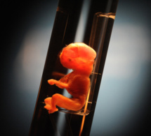 Etats-Unis: 2246 fœtus retrouvés au domicile d'un médecin