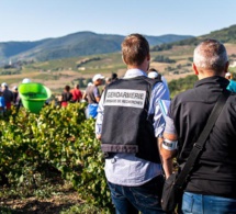 France: Un réseau qui exploitait une centaine de vendangeurs bulgares démantelé