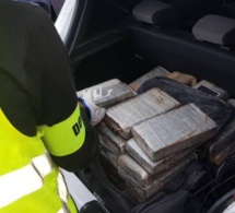 Saisie de drogue : L'Ocrtis a interpellé 161 Sénégalais et 10 de nationalités différentes