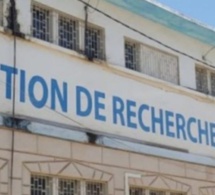 Escroquerie: La Section de Recherches arrête un "frère" du président béninois
