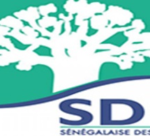 SDE : les travailleurs en sit-in ce jeudi