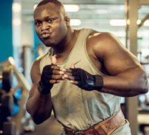 Lutte : Rock énergie donne son accord pour le combat Modou Lô-Ama Baldé