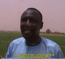 Sanction jugée arbitraire et sans fondement : une lettre Ouverte adressée à Harouna Kalidou Gaye Directeur de l’Hydraulique