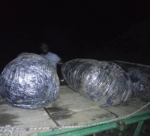 Thiès : Saisie de 660 kilogrammes de chanvre indien sur des charrettes (images)