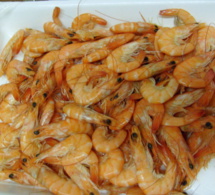 ALERTE- Des paquets de crevettes aux dates de péremption falsifiées inondent le marché