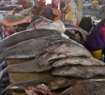 Marché aux poissons de Saint-Louis: Le bâtiment menace de s’effondrer