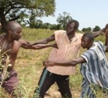 Kaffrine : Un affrontement entre agriculteurs et éleveurs fait un blessé Kaffrine : Un affrontement entre agriculteurs et éleveurs fait un blessé