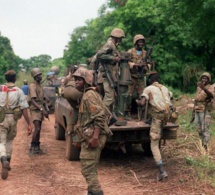 Casamance : L’armée arrête un éclaireur des «Roméos» Bissau-guinéen à Samick