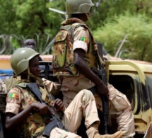 Afrique: Le Nigéria, le Bénin et le Niger lancent des patrouilles communes aux frontières