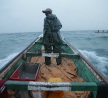 Thiaroye sur Mer : six pêcheurs portés disparus en haute mer