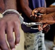 Mbour: Un grand trafiquant de drogue et des voleurs de motos jakarta arrêtés