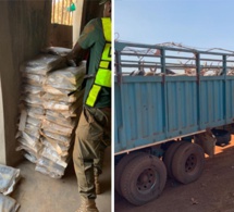 Kédougou: la Brigade des Douanes de Moussala saisit 248 kg de chanvre indien (images)