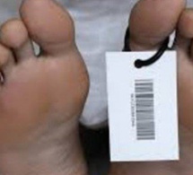 Congo Brazzaville : Un commerçant sénégalais sauvagement tué par des individus armés