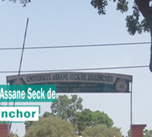 Université Assane Seck de Ziguinchor : le Sudes/Esr annonce une plainte contre le Recteur Courfia Kéba Diawara