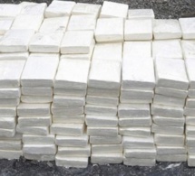 AIBD : de la cocaïne d’une valeur de 520 millions saisie par la Douane