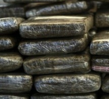 Drogue: La police saisit 41 kilos «Brown» de chanvre indien
