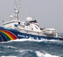 Farine de poisson : La réplique de Greenpeace au ministre de la Pêche