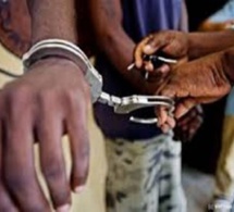 Vélingara: Le garde du corps du maire arrêté avec 2 Kg de chanvre indien