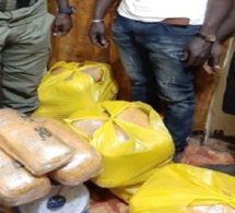 Bignona: Saisie de 35 kg de chanvre indien, deux trafiquants arrêtés
