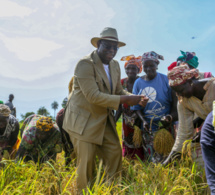 Performances économiques du Sénégal : 6,7% de croissance en 2018
