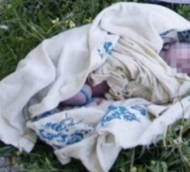 Oussouye : Un nouveau-né retrouvé en vie après 11 jours passés dans la brousse