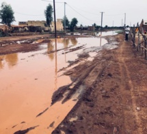 Bitumage de l'axe Nawel-Dembakané: Des ressortissants de Matam marchent vendredi à Dakar