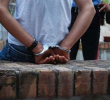 1 tonne de chanvre indien saisie à Mbour : le trafiquant s’approvisionnait à partir de Ziguinchor