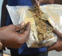 Mbour -Tentative de corruption :Un tailleur arrêté avec 500 g de chanvre, il file 50.000 francs au gendarme