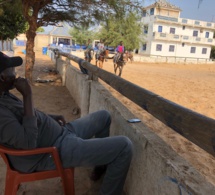 Nécrologie: Bathie Diop transitaire, passionné de chevaux est décédé
