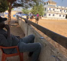 Nécrologie: Bathie Diop transitaire, passionné de chevaux est décédé