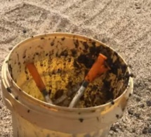 Alerte : Incroyable ! Déchets de soins médicaux sur des plages de Dakar