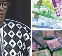 PROCHAINE ENTRÉE EN VIGUEUR DE LA NOUVELLE MONNAIE ECO. Le Professeur Serigne Khadimou Rassoul Thiam invite la communauté africaine à dire « NON !»