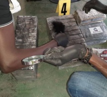 Port de Dakar : Nouvelle saisie de cocaïne d’une valeur de 9,6 milliards