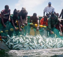Affaire des pêcheurs de Saint-Louis: la Mauritanie annule les amendes