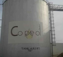 200 contractuels déjà licenciés : La Copeol risque le dépôt de bilan pour une dette de 11 milliards