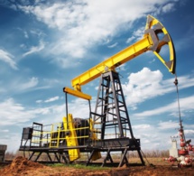 Baisse des cours du pétrole : tous les produits pétroliers, y compris l’électricité, doivent baisser (Expert)