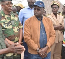 Trafic de 300 000 tonnes de bois du Sénégal vers la Chine : Abdou Karim Sall annonce des mesures