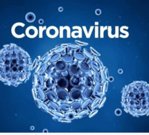 LUTTE CONTRE LE CORONAVIRUS : Le prophète mouhamed PSL nous a déjà indiqué la voie a suivre