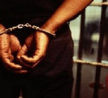Rebondissement sur la Saisie de 750kg de drogue : La Cour suprême maintient …….