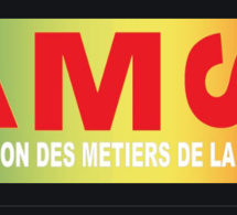GESTION D’UN FONDS D’AIDE A LA CULTURE  Contributions de l’AMS