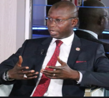 Traitement du Covid-19: Le comité scientifique sénégalais approuve l’usage de l’artimisia