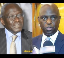 Habib Sy : « Mansour Faye N’a Pas De Compétences Pour Acheter Du Riz