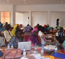 Fonds force Covid-19: La société civile féminine dénonce la sous-représentation des femmes dans le comité