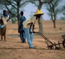 Hivernage: Le Sénégal a enregistré ses premières pluies ce lundi