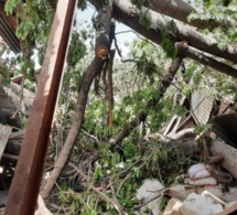 UN BAOBAB S’EFFONDRE ET TUE UNE FILLE DE 14 ANS